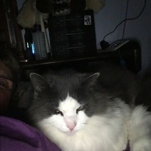 Meet your Posher, Danita